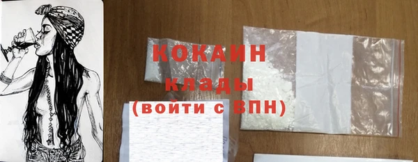 спайс Тавда